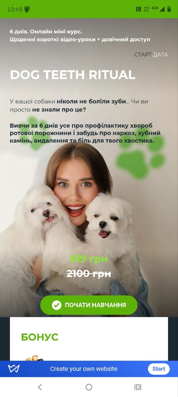 Лендінг: DOG TEETH RITUAL